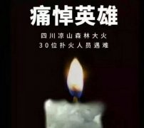 陽光甚好，是有人為我們擋住了黑暗...