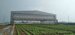 3.12植樹節(jié)，人人參與—靖起起重機(jī)生產(chǎn)廠家